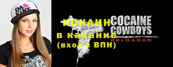 стафф Аркадак