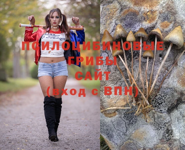стафф Аркадак