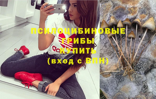 кокс Алзамай