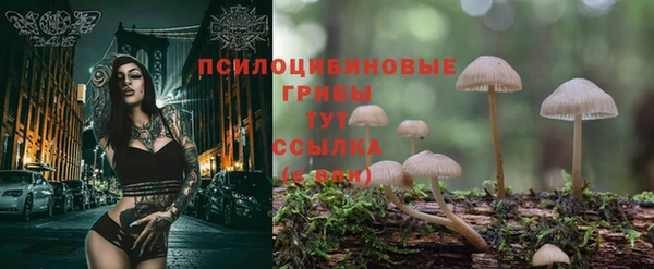 мяу мяу мука Алексеевка