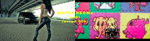 стафф Аркадак
