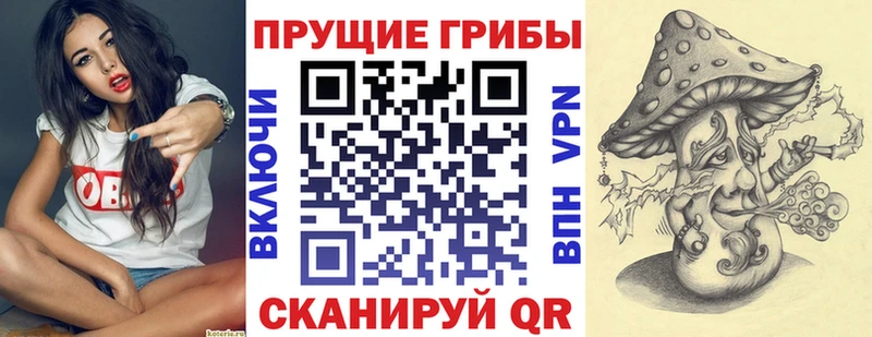 площадка телеграм  Малоархангельск  Псилоцибиновые грибы мицелий 